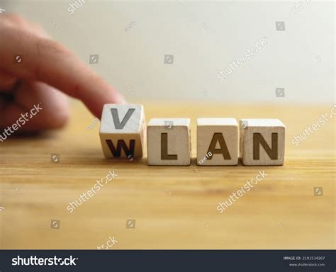 Virtual Local Area Network 的图像结果