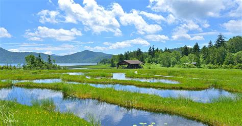 [Gunma Scenic Hiking Tour] Japan's Largest Plateau Wetland "Oze-no-hara ...