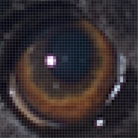 Digital Images 的图像结果