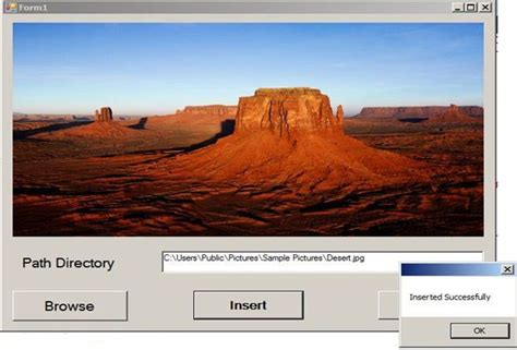 How to Insert Image in SQL Database Using C 的图像结果