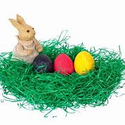 Image result for Hare Nest
