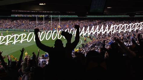 Image result for AFL Explained