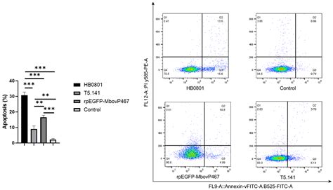 The Identification of a Novel Nucleomodulin MbovP467 of Mycoplasmopsis ...