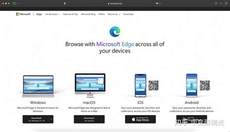 必应 Ai 聊天 的图像结果