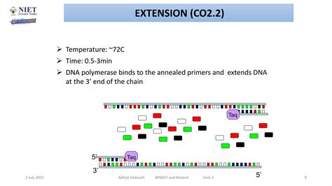Image result for PCR Introduction