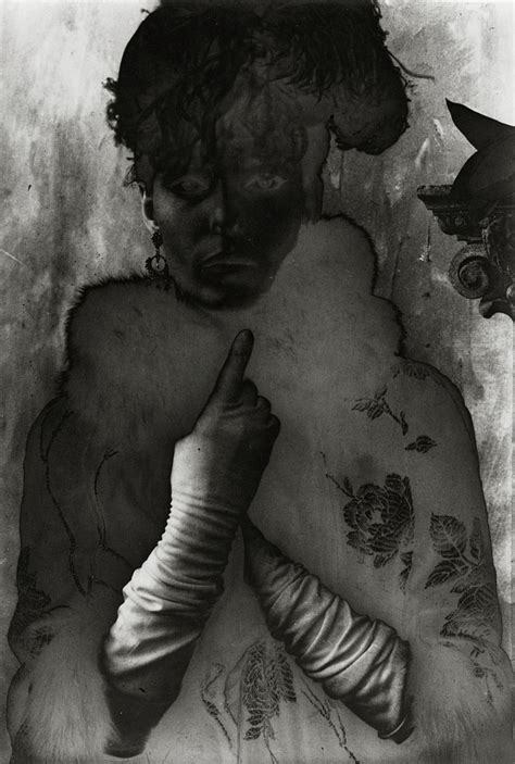 Chokecherry Tree MI 的图像结果