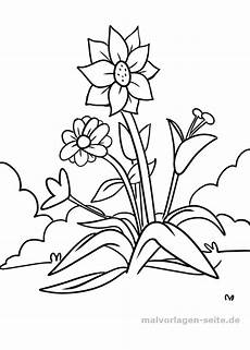 malvorlagen gratis blumen malvorlage blumen malvorlagen malvorlagen blumen und blumen malvorlagen gratis blumen malvorlage blumen malvorlagen malvorlagen blumen und blumen