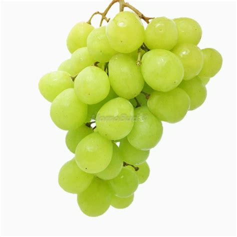 Serving Size Green Seedless Grapes at Sarah Plank blog