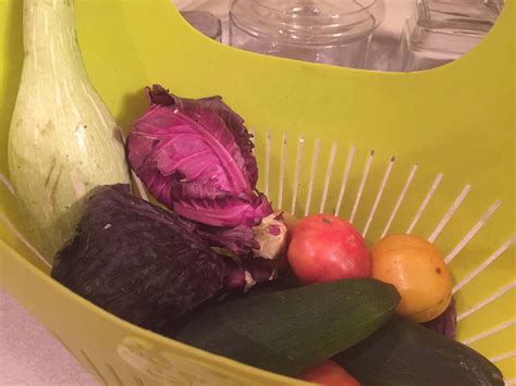 Garden Harvest Baskets and Colander - GardensAll