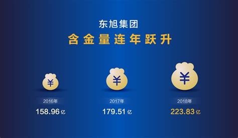 位列中国电子信息四强 东旭集团2018年度品牌价值大增25%达223.83亿元_手机新浪网