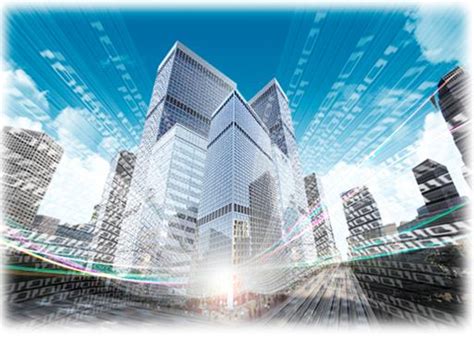 All Cell 的图像结果