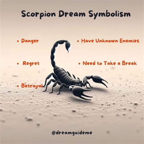 Scorpion Dream Meaning and Symbolism