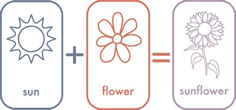 Compound Visual Example 的图像结果