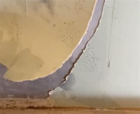 Damp Proofing Slurry 的图像结果