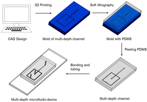 Rapid and Inexpensive Fabrication of Multi-Depth Microfluidic Device ...