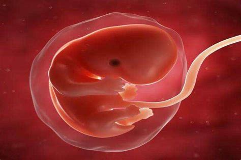 二胎竟是双胚胎，又惊又喜！！！ - 百度宝宝知道