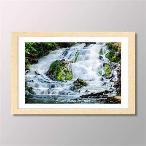 Nature Wall Decor 的图像结果