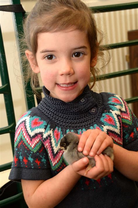 Farm animals and crafts delight children at the Charis Centre
