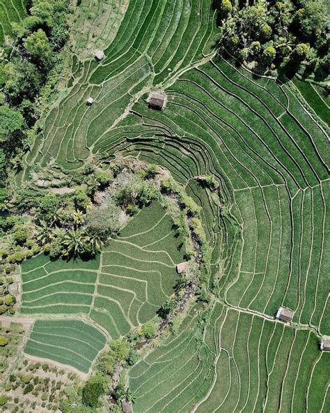 Image result for Al MATLAB Nganjuk