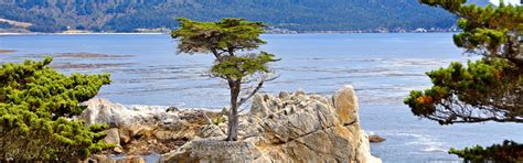 Holiday Accommodation & Lettings in Monterey from ₹5,003 | HomeToGo