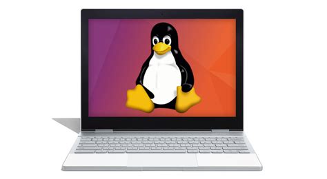 Chrome OS si prepara a eseguire le app Linux e a supportare i suoi file