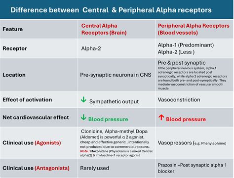 Difference between central and peripheral adrenergic alpha receptors ...