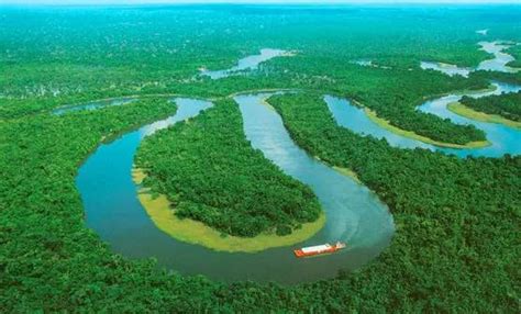 亚马逊河保护区 - 旅游景点介绍_旅游攻略2023 - 云旅游网