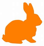 Image result for Photos of Easter Bunny