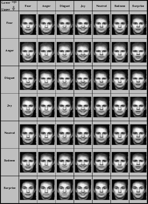 Microexpression 的图像结果