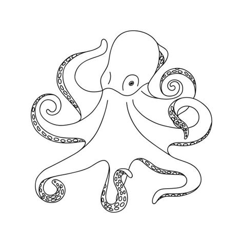 Octopus Software without Box 的图像结果