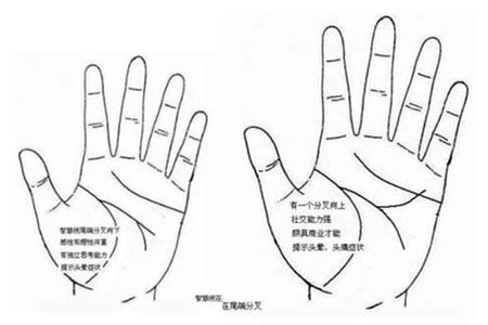 智慧线断开的人办公桌放这些最好 智慧线断开-周易算命网