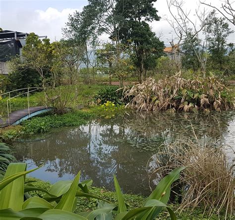 SHENG YANG (2025) All You Need to Know BEFORE You Go (with Photos ...