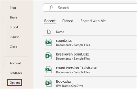 Image result for Excel File Options