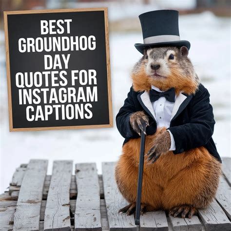 Groundhog Day Quotes: Your Go-To List for Laughs, Captions, and Good Vibes