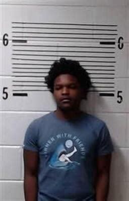 Inmate Roster | Elmore County AL Sheriff's Office | Sort Booking Time ...