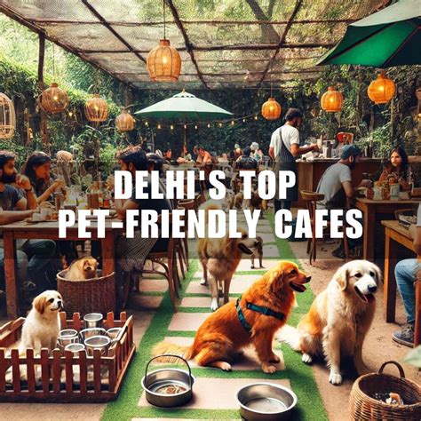 Delhi’s Top Pet-Friendly Cafes – Delhipedia
