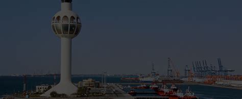 Saudi Arabia´s main exports and imports | iContainers