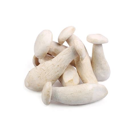 Milky Mushroom (Fresh) – Shop | Yin N Yang Farms Pvt. Ltd.