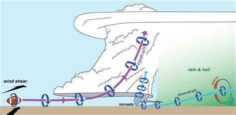 What Do Storm Chasers Really Do? | FlaglerLive