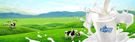 Banglar Dairy - Banglar Dairy