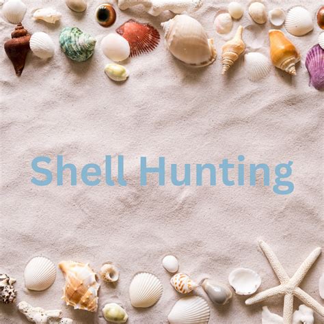 Image result for Shell Hunting Shell Island Panama