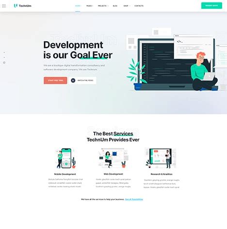 Intro Development 的图像结果
