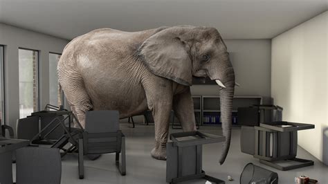 elephant themed room ideas