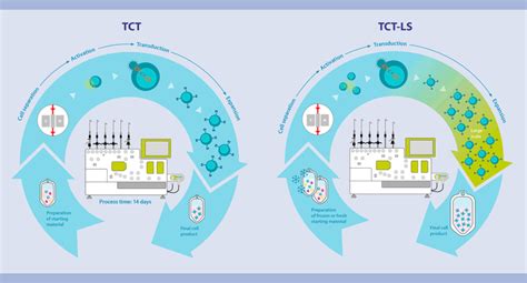CAR T cell manufacturing | CAR T cell transduction | Miltenyi Biotec | Österreich