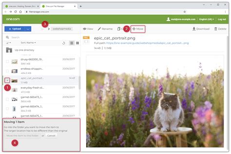 Image result for How to Use One File