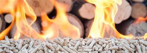 Novosti - Bioenergy point