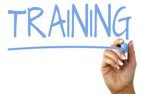 Training Check In 的图像结果