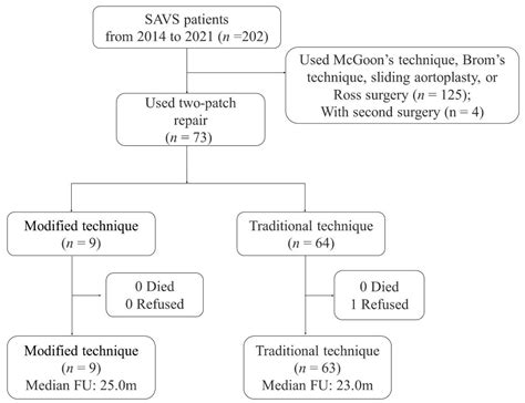 Clinical Results of a Modified Doty’s Technique for Supravalvular ...