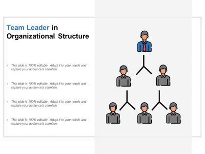 Team Structure 的图像结果