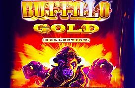 buffalo gold spin winners,{keywords} provide players with a